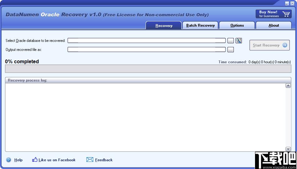 DataNumen Oracle Recovery下载,数据恢复