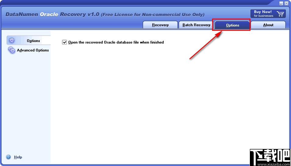 DataNumen Oracle Recovery下载,数据恢复