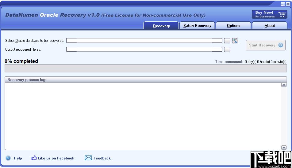 DataNumen Oracle Recovery下载,数据恢复