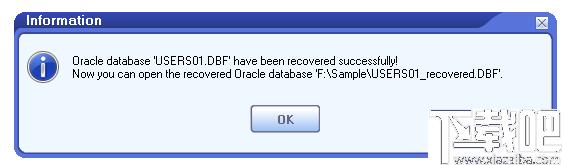 DataNumen Oracle Recovery下载,数据恢复