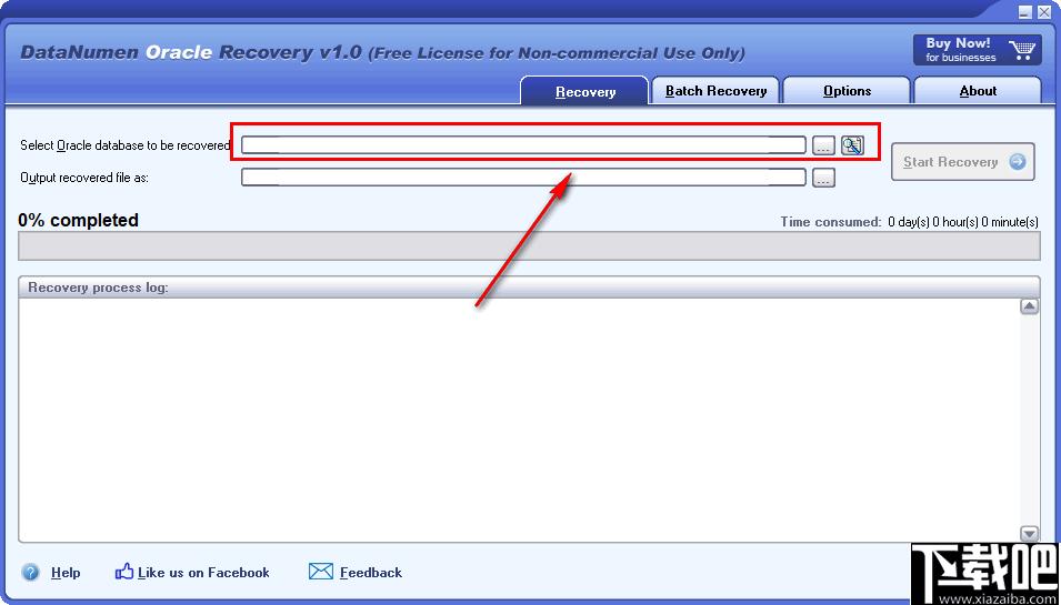 DataNumen Oracle Recovery下载,数据恢复