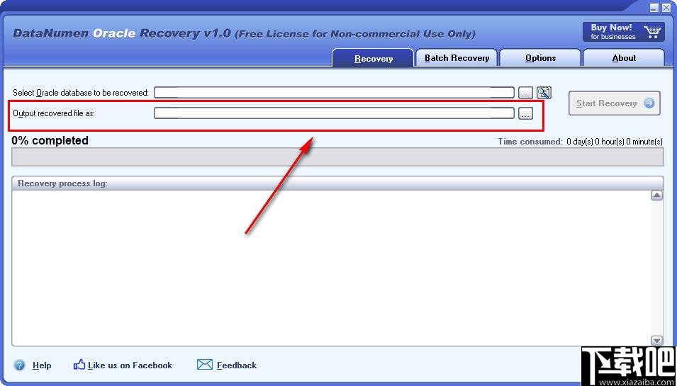 DataNumen Oracle Recovery下载,数据恢复
