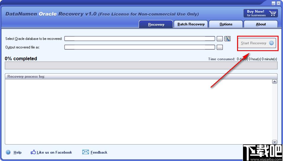 DataNumen Oracle Recovery下载,数据恢复