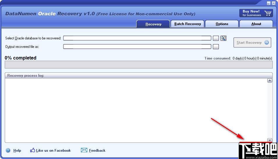 DataNumen Oracle Recovery下载,数据恢复