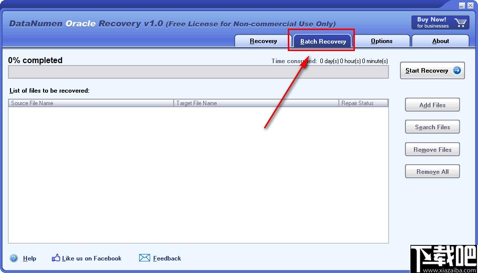 DataNumen Oracle Recovery下载,数据恢复