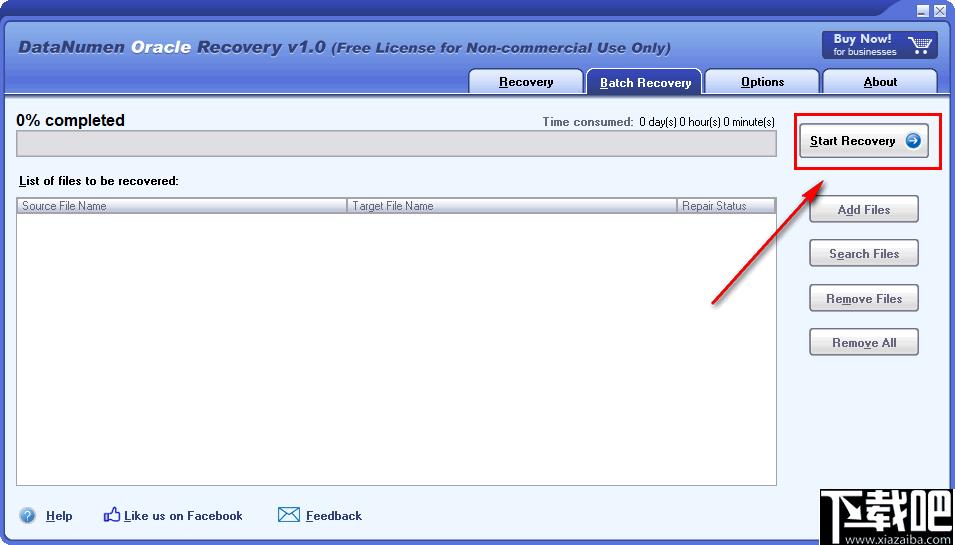 DataNumen Oracle Recovery下载,数据恢复