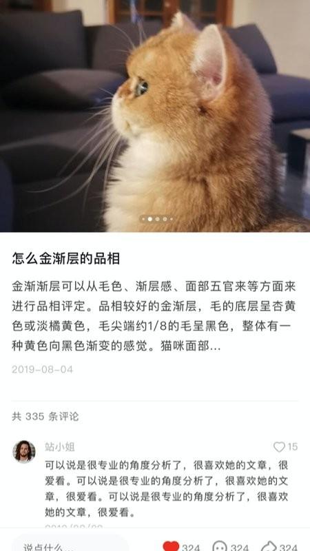 宠年年app下载,宠年年,宠物app