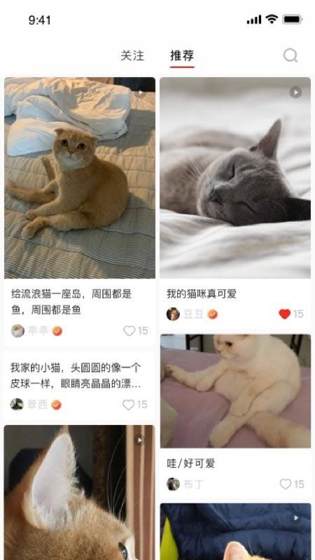 宠年年app下载,宠年年,宠物app