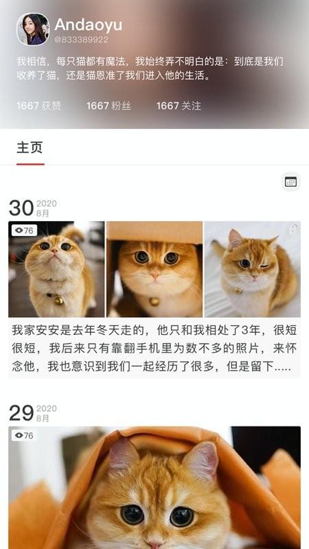 宠年年app下载,宠年年,宠物app